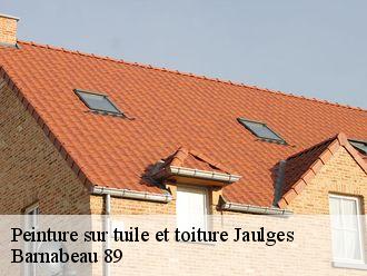 Peinture sur tuile et toiture  jaulges-89360 Barnabeau 89