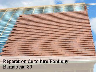 Réparation de toiture  pontigny-89230 Barnabeau 89