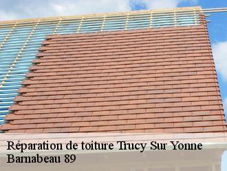 Réparation de toiture  trucy-sur-yonne-89460 Barnabeau 89