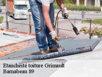 Etanchéité toiture  grimault-89310 Barnabeau 89