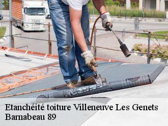 Etanchéité toiture  villeneuve-les-genets-89350 Barnabeau 89