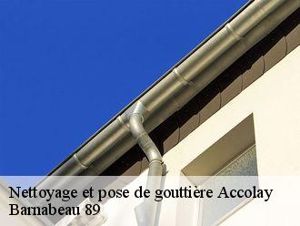 Nettoyage et pose de gouttière  accolay-89460 Barnabeau 89