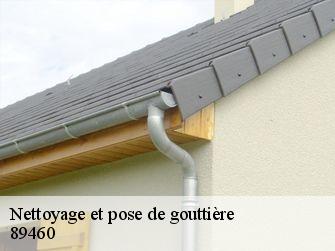 Nettoyage et pose de gouttière  89460