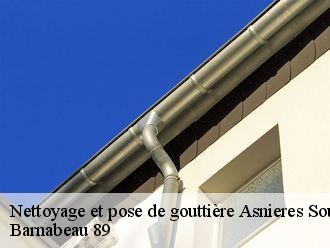 Nettoyage et pose de gouttière  asnieres-sous-bois-89660 Barnabeau 89