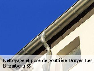 Nettoyage et pose de gouttière  druyes-les-belles-fontain-89560 Barnabeau 89