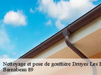 Nettoyage et pose de gouttière  89560