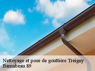 Nettoyage et pose de gouttière  89520