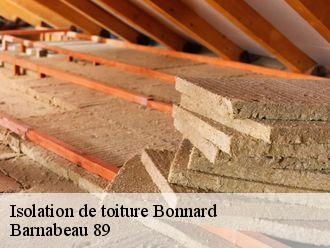 Isolation de toiture  bonnard-89400 Barnabeau 89